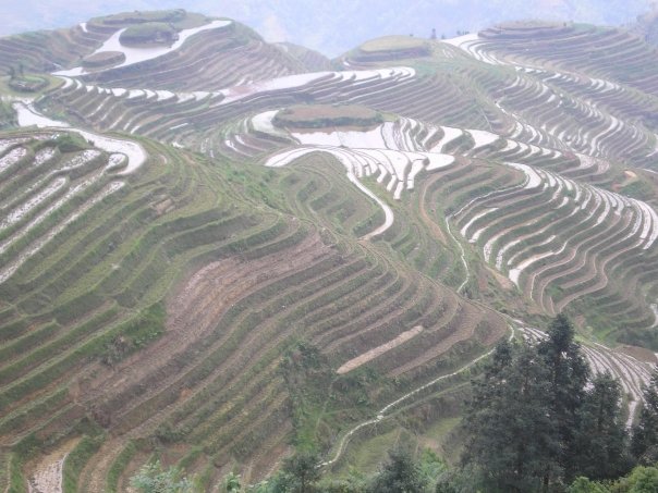 A scene from my first ever solo travel experience: the rice terraces of Longsheng, Guangxi, China