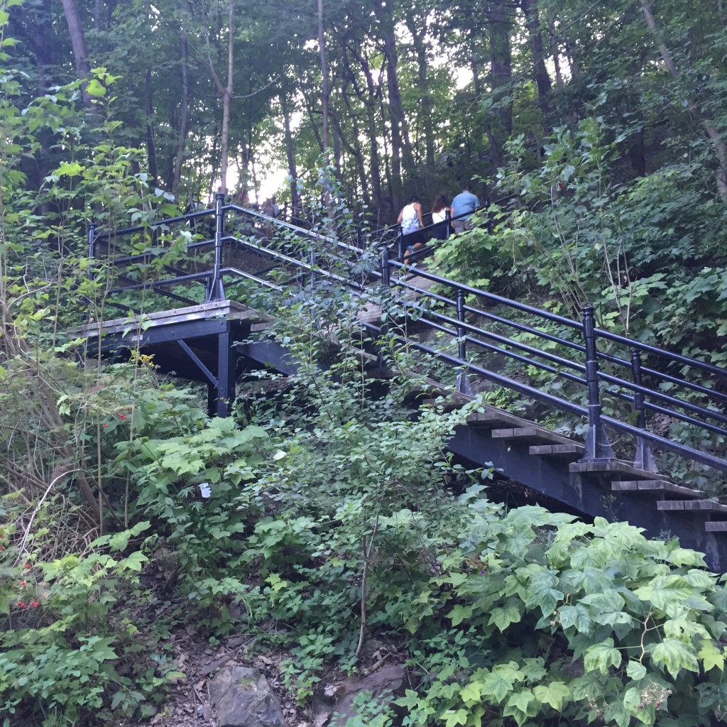 Staircase at Mount Royal Park