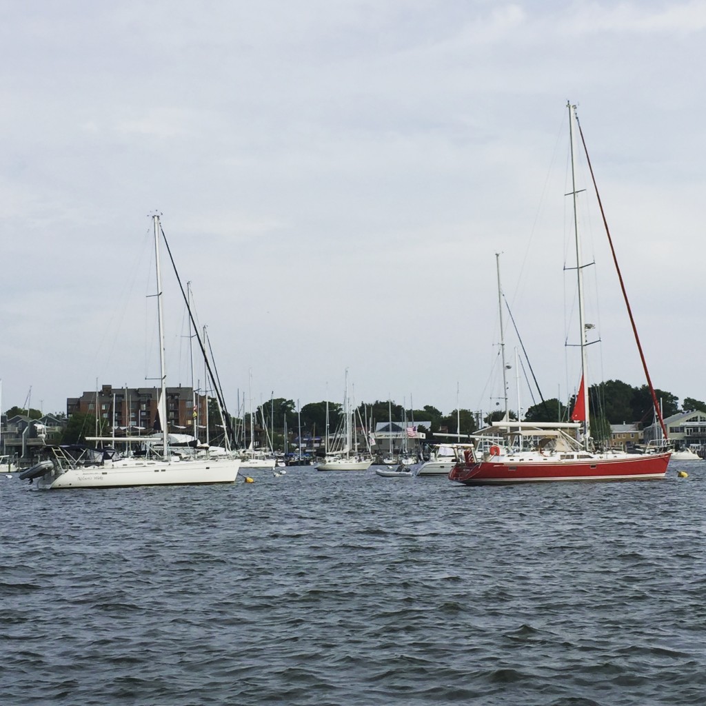 Annapolis Harbor